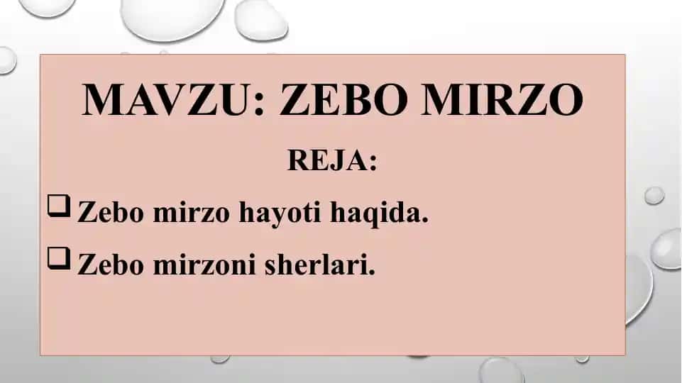 Zebo Mirzo