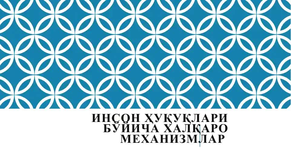 ИНСОН ҲУҚУҚЛАРИ БЎЙИЧА ХАЛҚАРО МЕХАНИЗМЛАР