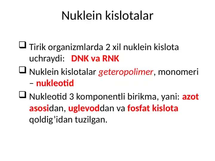 Nukleinkislotalar
