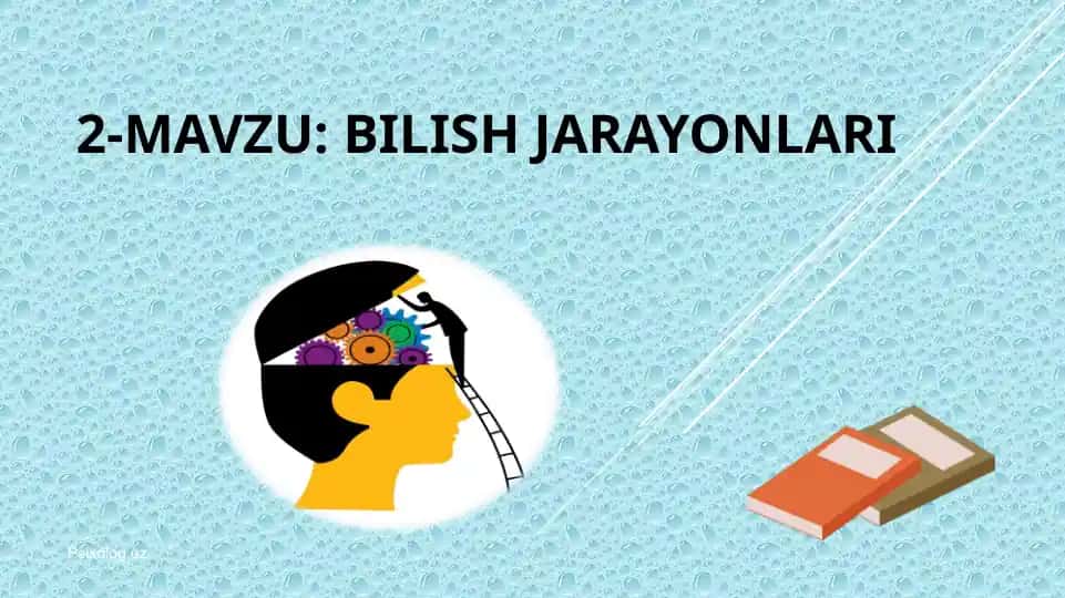 Sezgilarning tasnifi