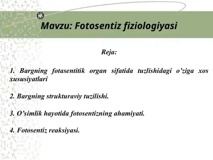 Fotosentiz fiziologiyasi