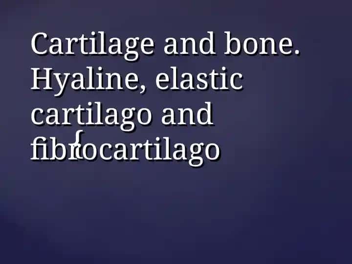 Cartilage and bone