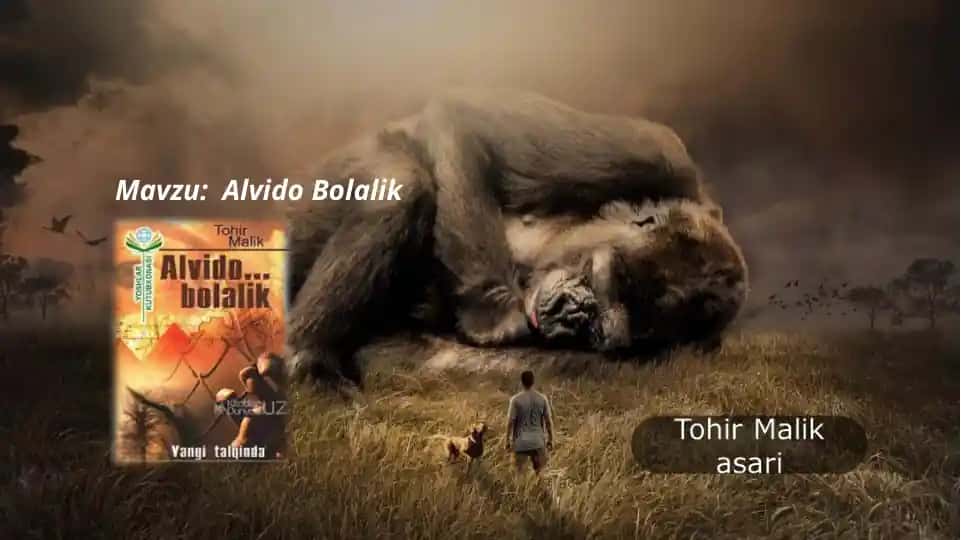 Alvido Bolalik