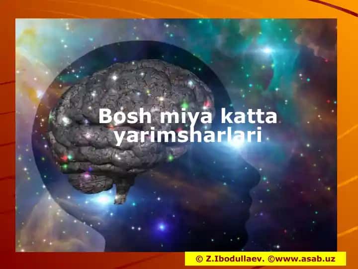 Bosh miya katta yarimsharlari