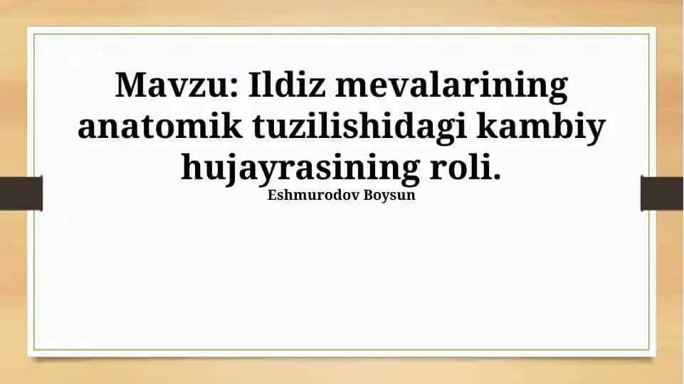 Ildiz mevalarining anatomik tuzilishidagi kambiy hujayrasining roli