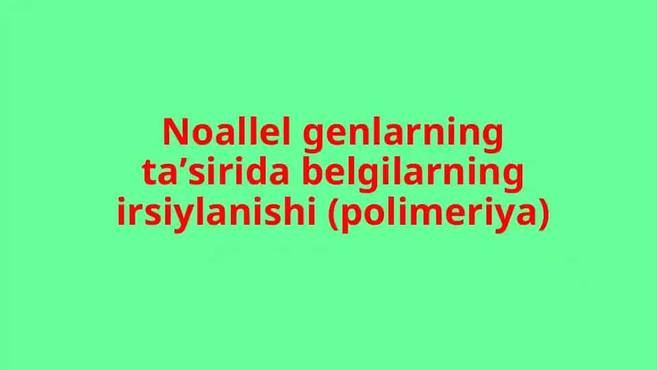 Polimeriya hodisasi