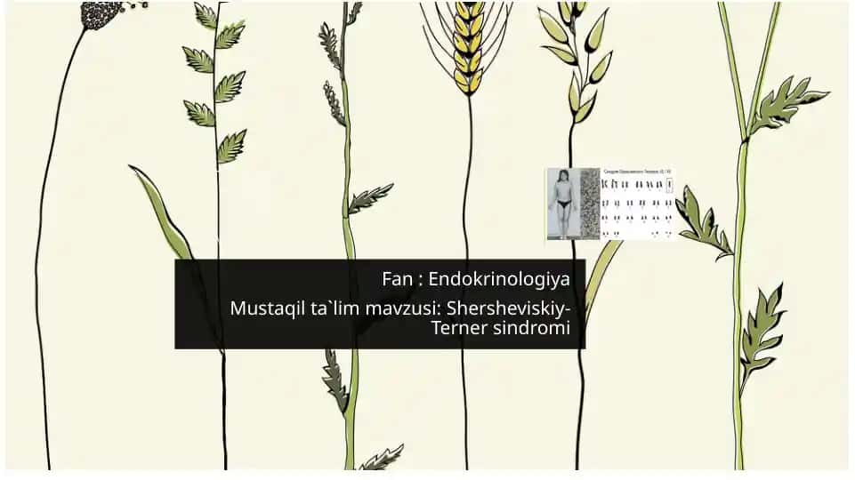 Shershevskiy-Ternersindromi