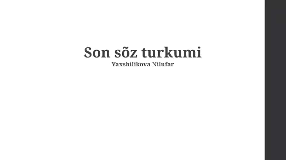 Son so‘z turkumi