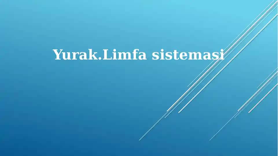 Yurak.Limfasistemasi