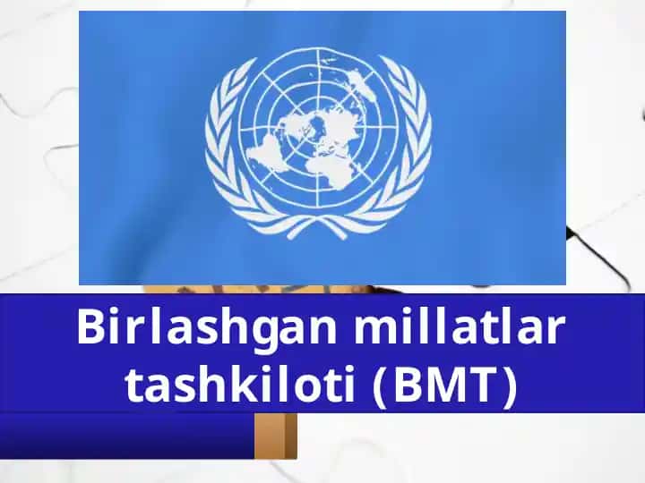Birlashgan Millatlar Tashkiloti (BMT)