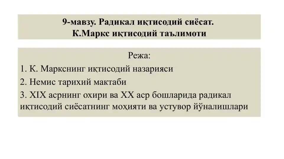 Radikal iqtisodiy siyosat