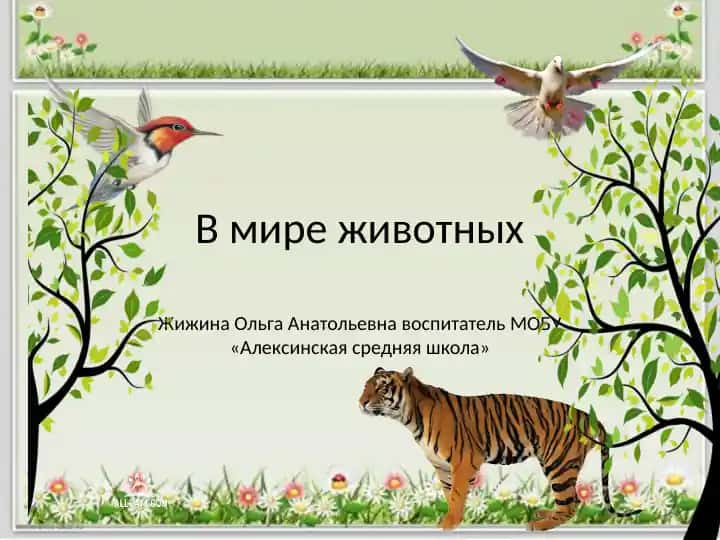 В мире животных