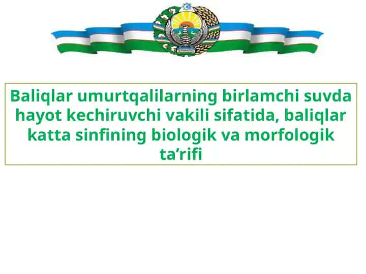 Baliqlar haqida taqdimot