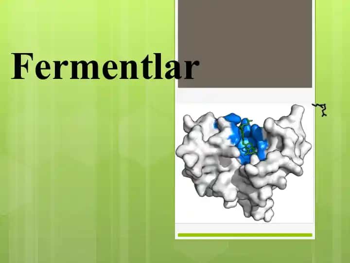 Fermentlar