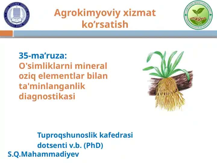 O'simliklarni mineraloziq elementlar bilan ta'minlanganlik diagnostikasi
