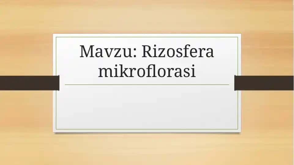 Rizosfera mikroflorasi