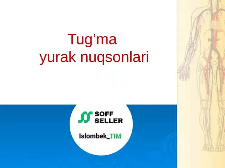 Tug‘ma Yurak Nuqsonlari