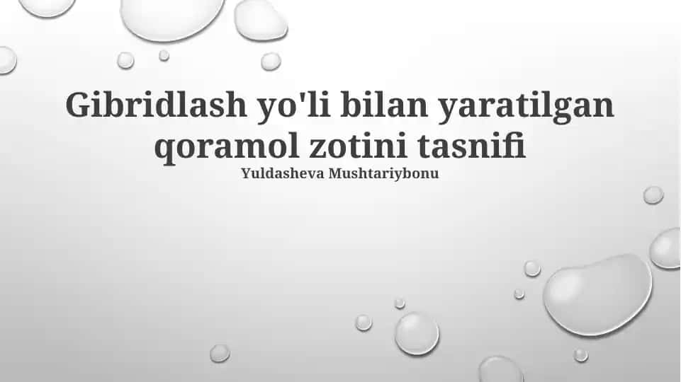 Gibridlash yo'li bilan yaratilgan qoramol zotini tasnifi