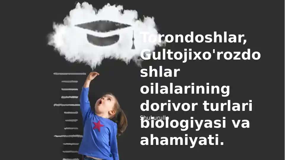 Torondoshlar, Gultojixo'rozdoshlar biologiyasi