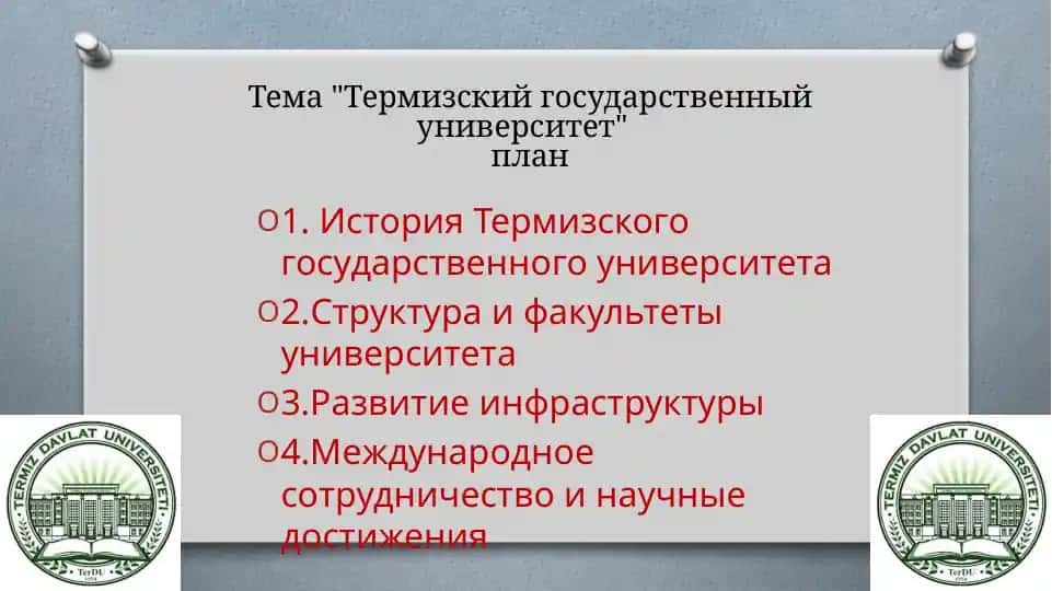 Термизский государственный университет
