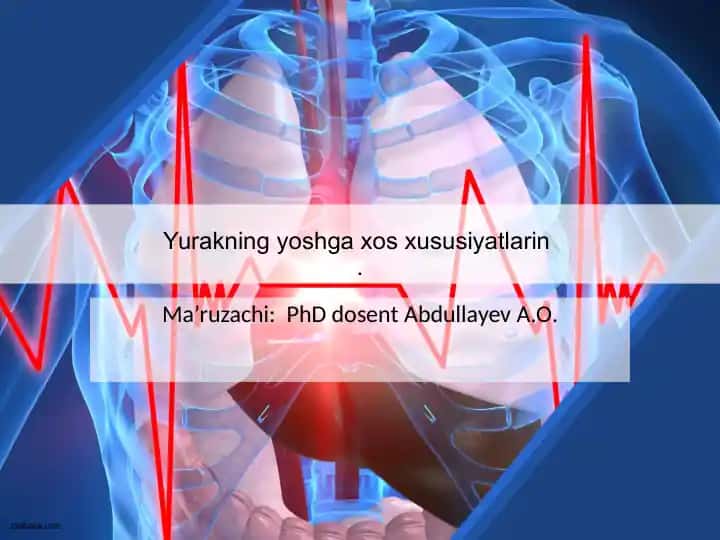 Yurakning yoshg'axsosxususiyatlarin