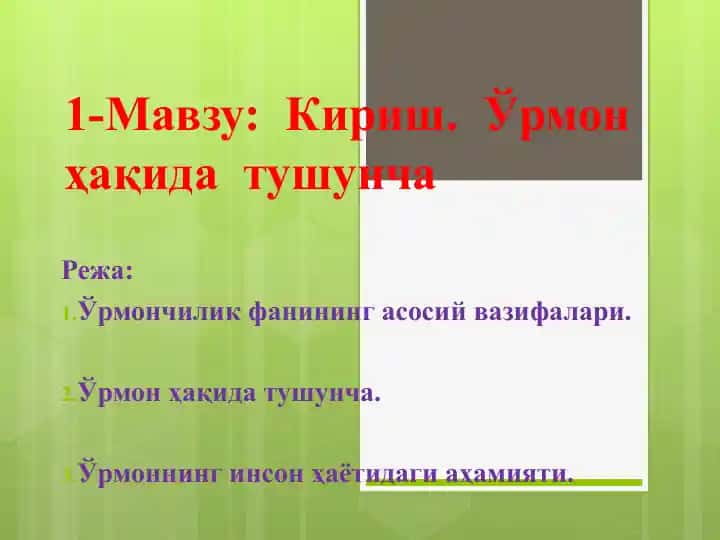 Ўрмон ҳақида тушунча