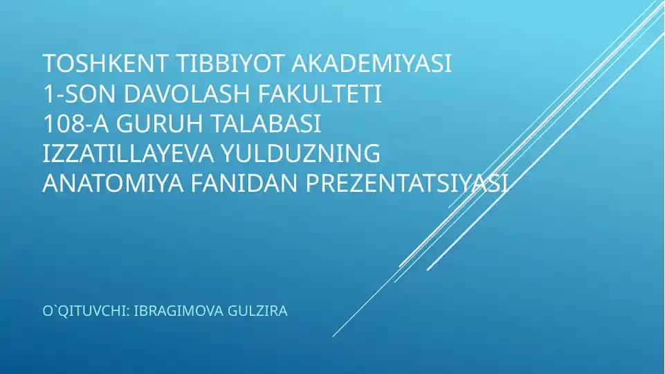 ANATOMIYA FANIDAN PREZENTATSIYASI