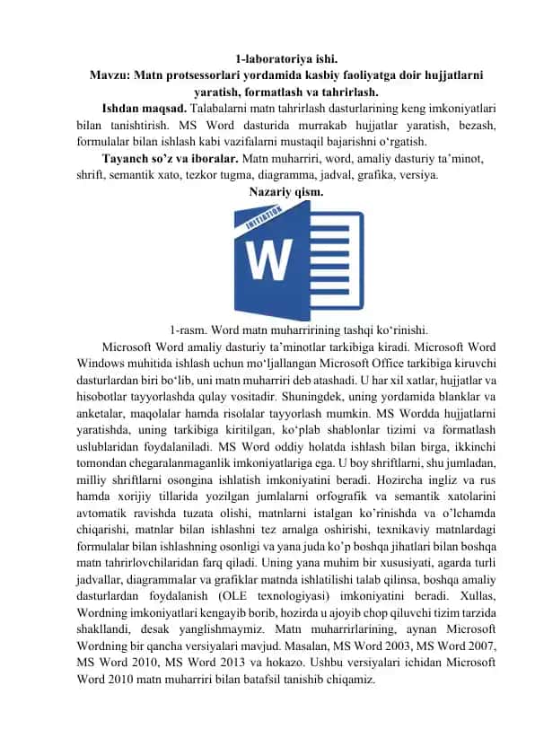 Microsoft Word