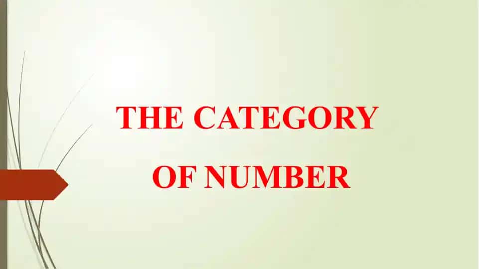 The Category of Number