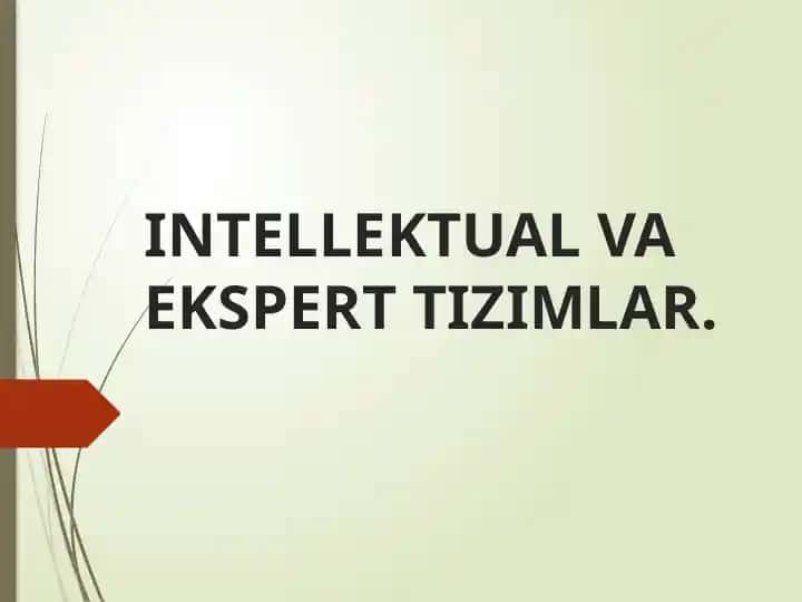 Intellektual va ekspert tizimlar