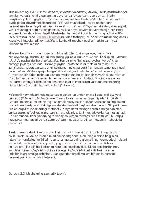 Mushaklar anatomiyasi