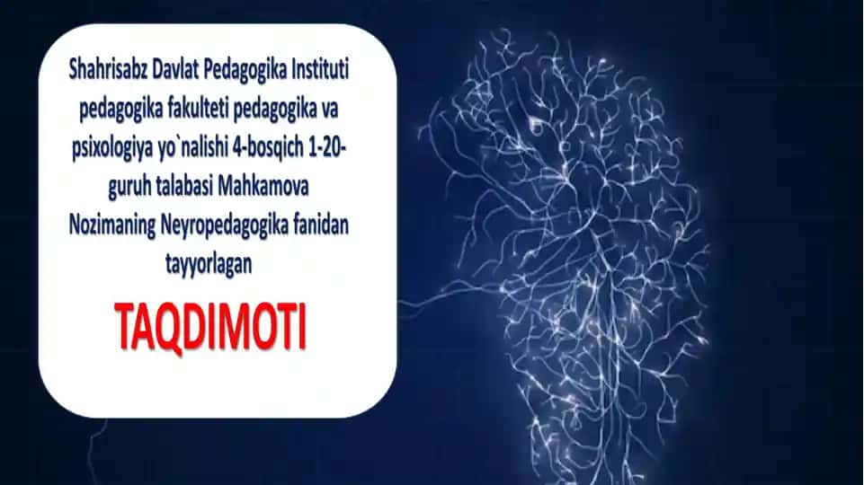 Giperfaol O'quvchilar Bilan Ishlashning Neyropedagogik Xususiyatlari