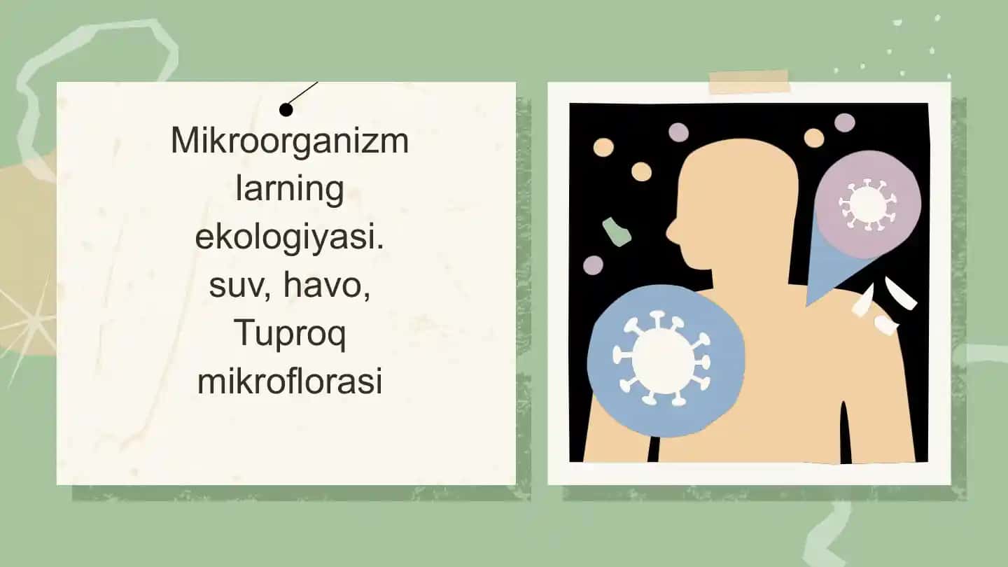Mikroorganizmlar Ekologiyasi