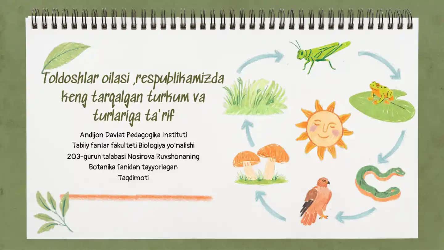 Toldoshlar oilasi