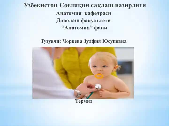 Анатомия фани