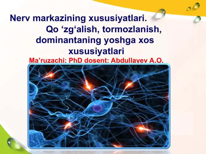 Nerv markazining xususiyatlari