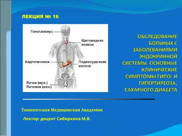 Железы внутренней секреции