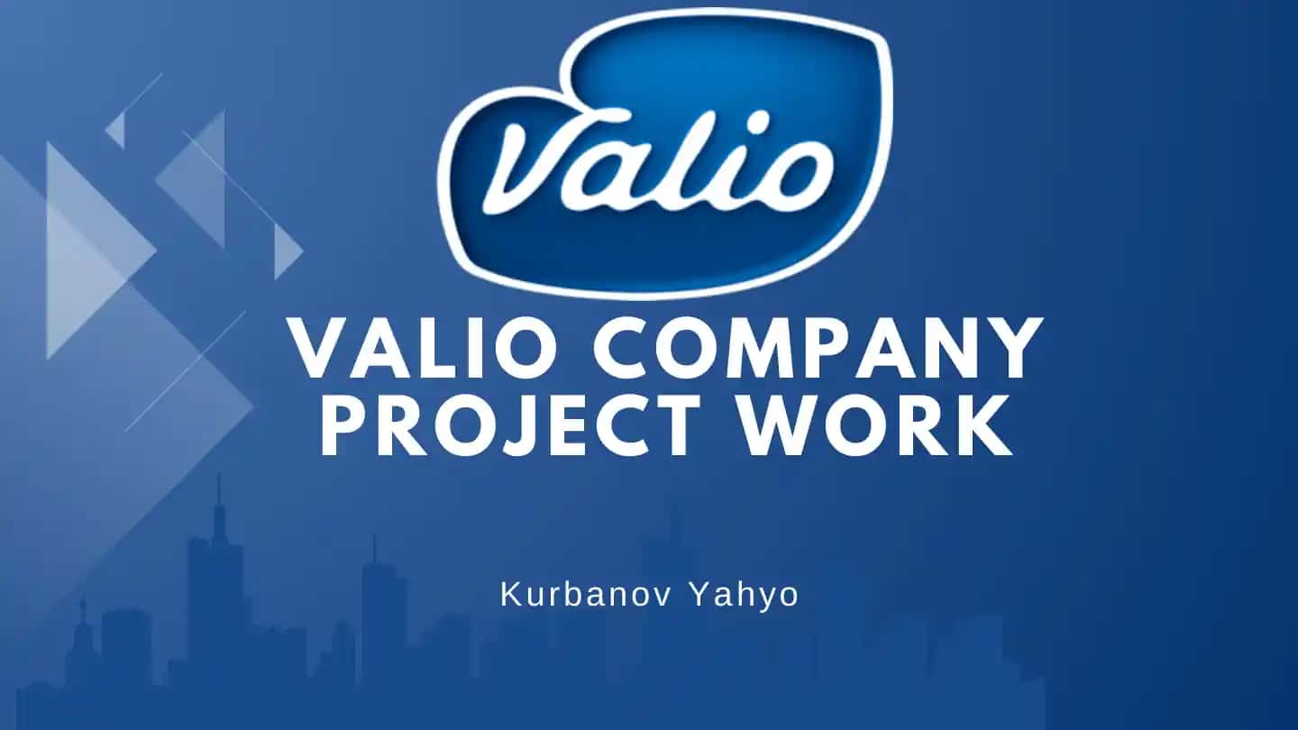 Valio Company Project Work