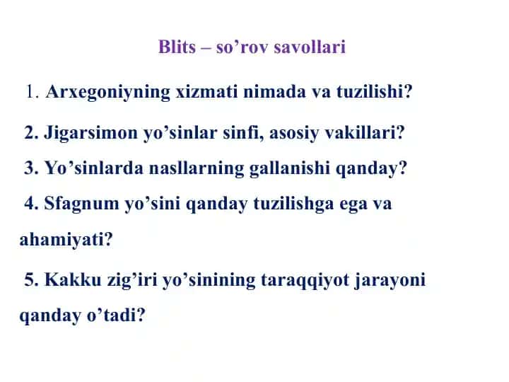 Blits – so’rov savollari