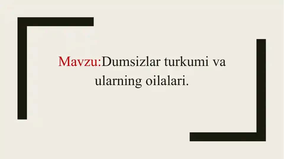 Dumsizlar turkumi va ularning oilalari