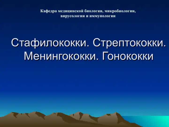 Кокки (стафилококки, стрептококки, менингококки)