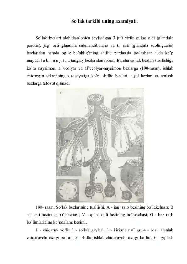 So’lak bezlar