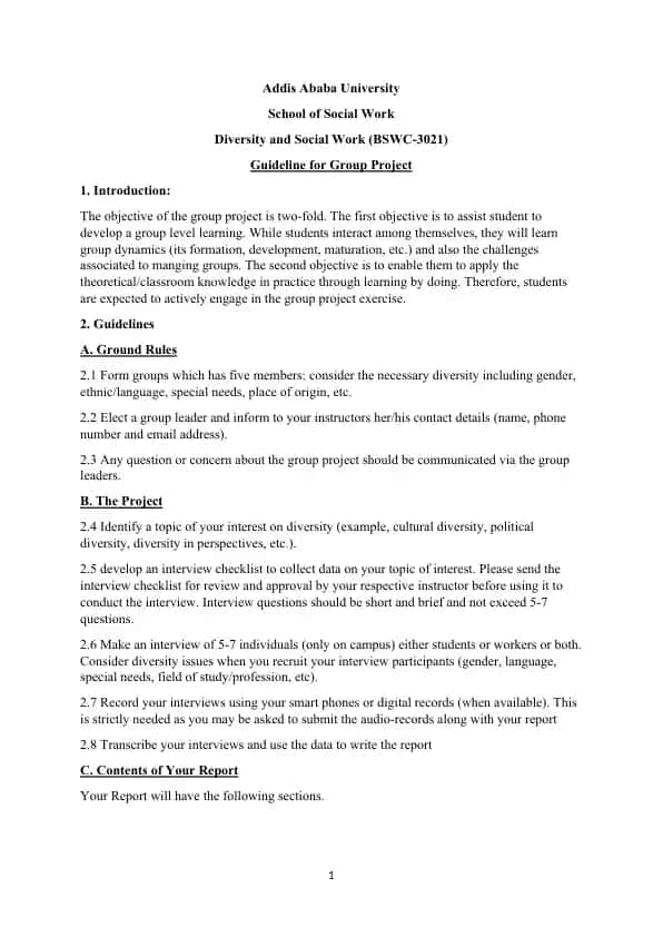 Diversity and Social Work (BSWC-3021) Group Project Guideline