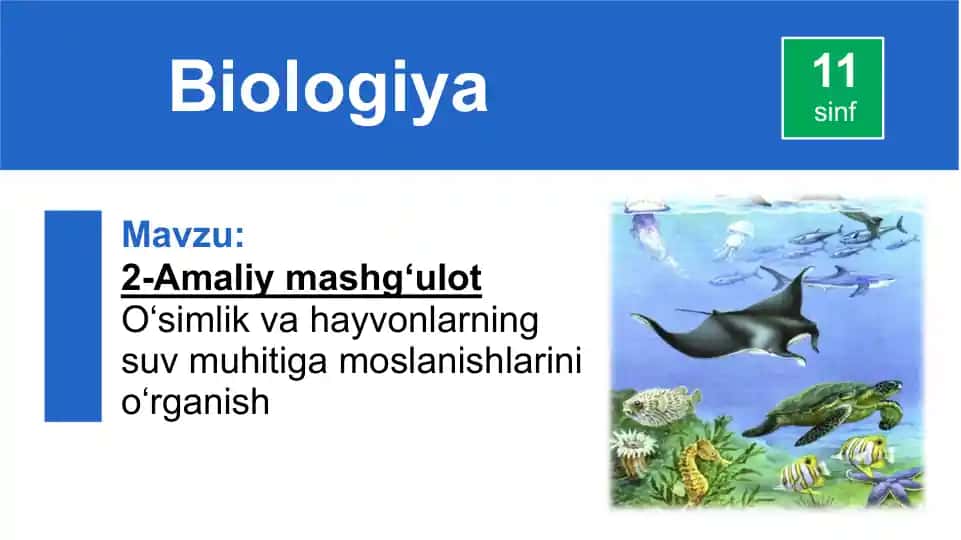 2-Amaliy mashg‘ulot O‘simlik va hayvonlarning suv muhitiga moslanishlarini o‘rganish