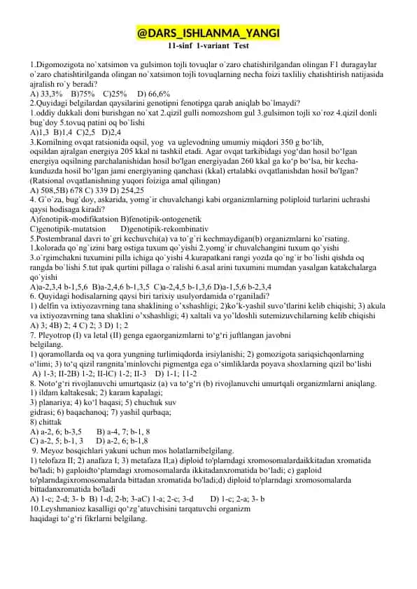 11-sinf 1-variant Test