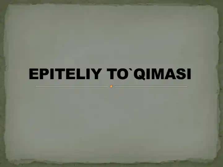 Epiteliy To`qimasi