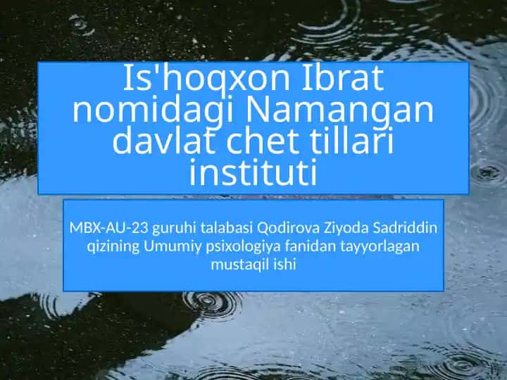 Is'hoqxon Ibrat nomidagi Namangan davlat chet tillari instituti