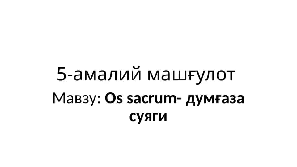 Ossacrum-думғаза суяги