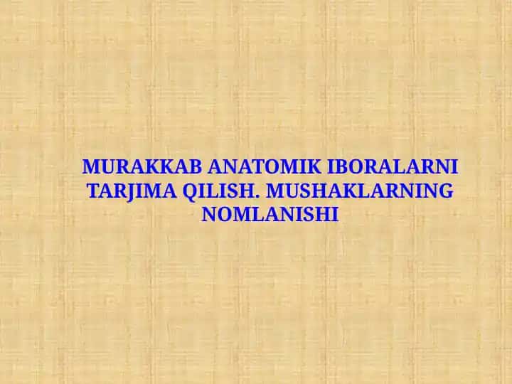 Murakkab anatomik iboralarni tarjima qilish. Mushaklarning nomlanishi