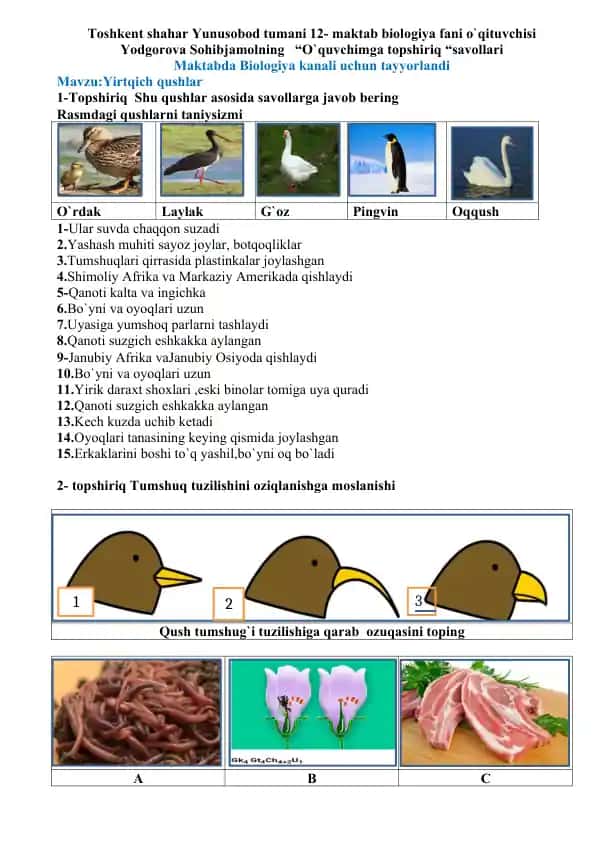 "O`quvchimga topshiriq savollari - Yirtqich qushlar"